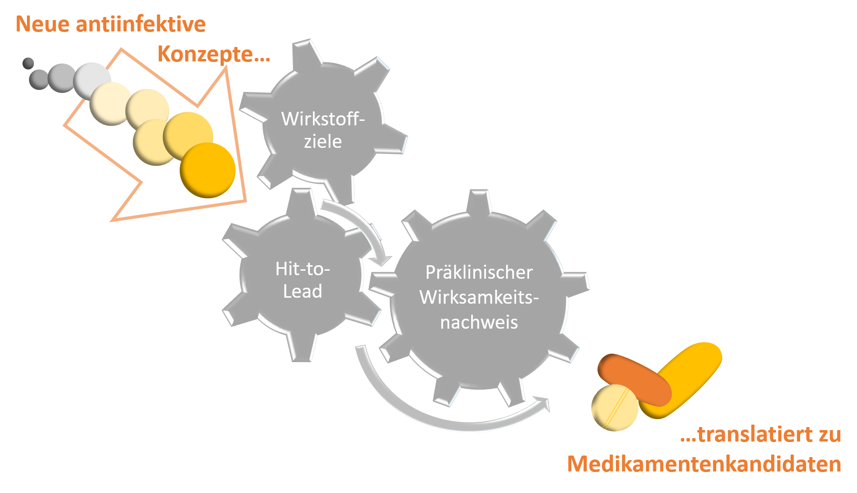 Vier starke iCAIR®-Partner – das Institute for Glycomics, die Medizinische Hochschule Hannover, das Helmholtz-Zentrum für Infektionsforschung und das Fraunhofer ITEM – engagieren sich in der Infektionsforschung: Sie entwickeln neuartige Medikamente von der Target-Identifizierung, über den Hit-to-Lead bis hin zum Proof-of-Concept.